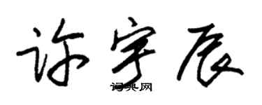 朱錫榮許宇辰草書個性簽名怎么寫
