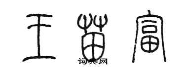 陳墨王苗富篆書個性簽名怎么寫