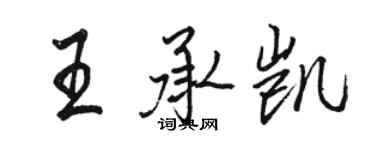 駱恆光王承凱行書個性簽名怎么寫