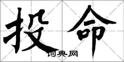 翁闓運投命楷書怎么寫