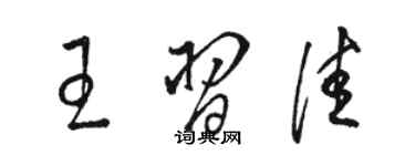 駱恆光王習佳草書個性簽名怎么寫