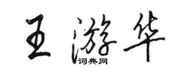 駱恆光王游華行書個性簽名怎么寫