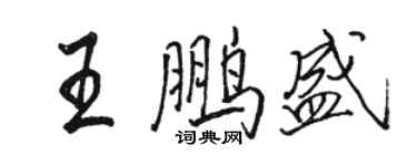 駱恆光王鵬盛行書個性簽名怎么寫