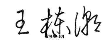 駱恆光王棟潮草書個性簽名怎么寫