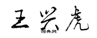 曾慶福王興虎行書個性簽名怎么寫