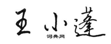 駱恆光王小蓬行書個性簽名怎么寫
