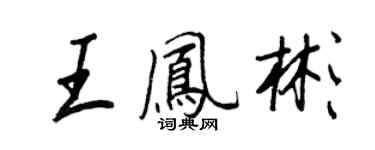 王正良王鳳彬行書個性簽名怎么寫