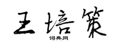 曾慶福王培策行書個性簽名怎么寫