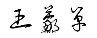 曾慶福王蒙單草書個性簽名怎么寫