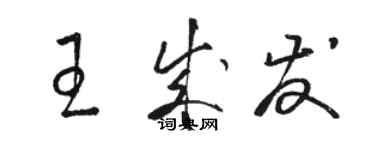 駱恆光王成發草書個性簽名怎么寫