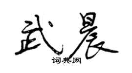 曾慶福武晨行書個性簽名怎么寫