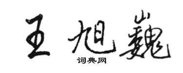 駱恆光王旭巍行書個性簽名怎么寫