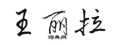 駱恆光王麗拉行書個性簽名怎么寫