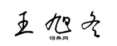 梁錦英王旭冬草書個性簽名怎么寫