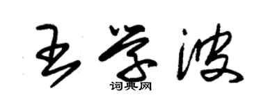 朱錫榮王學波草書個性簽名怎么寫