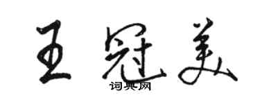 駱恆光王冠美行書個性簽名怎么寫