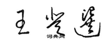 駱恆光王登選草書個性簽名怎么寫