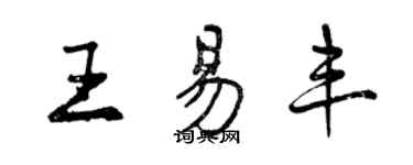 曾慶福王易豐行書個性簽名怎么寫