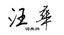 王正良汪華行書個性簽名怎么寫