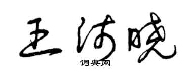 曾慶福王沛曉草書個性簽名怎么寫
