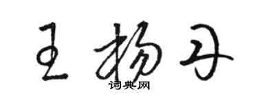 駱恆光王楊丹草書個性簽名怎么寫