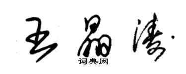 朱錫榮王晶濤草書個性簽名怎么寫