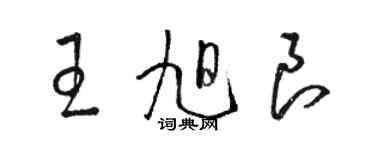 駱恆光王旭良草書個性簽名怎么寫