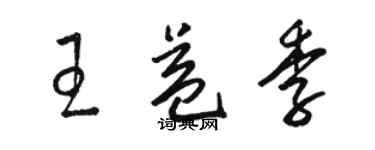 駱恆光王益季草書個性簽名怎么寫