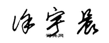 朱錫榮徐宇晨草書個性簽名怎么寫