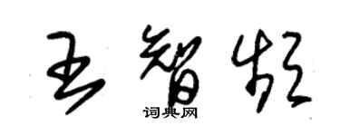 朱錫榮王智頻草書個性簽名怎么寫