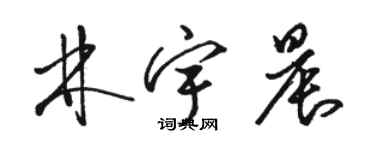 駱恆光林宇晨草書個性簽名怎么寫