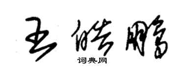 朱錫榮王皓鵬草書個性簽名怎么寫