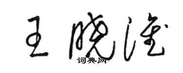 駱恆光王曉淮草書個性簽名怎么寫