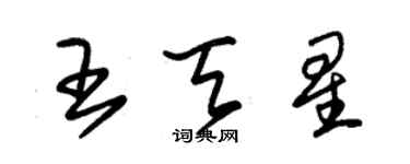 朱錫榮王天星草書個性簽名怎么寫