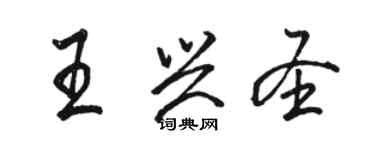 駱恆光王興聖行書個性簽名怎么寫