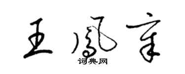 梁錦英王鳳章草書個性簽名怎么寫