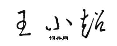 駱恆光王小超草書個性簽名怎么寫