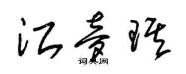 朱錫榮江夢琪草書個性簽名怎么寫