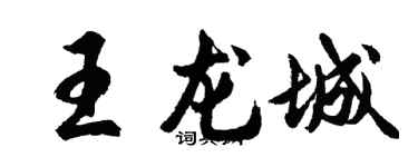 胡問遂王龍城行書個性簽名怎么寫