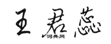 駱恆光王君蕊行書個性簽名怎么寫