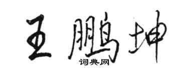 駱恆光王鵬坤行書個性簽名怎么寫