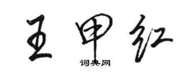 駱恆光王甲紅行書個性簽名怎么寫