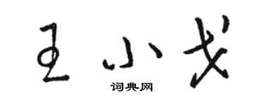 駱恆光王小戈草書個性簽名怎么寫