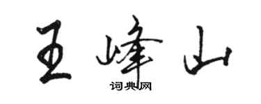 駱恆光王峰山行書個性簽名怎么寫