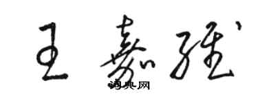 駱恆光王嘉維草書個性簽名怎么寫