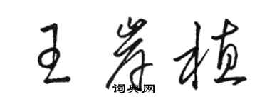 駱恆光王岸植草書個性簽名怎么寫