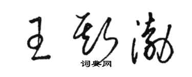 駱恆光王斯渤草書個性簽名怎么寫