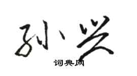 駱恆光孫興行書個性簽名怎么寫