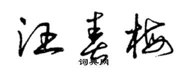 曾慶福汪春梅草書個性簽名怎么寫