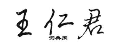 駱恆光王仁君行書個性簽名怎么寫